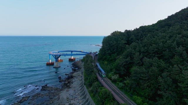 Coastal train passing through a coastal lookout and lush forests