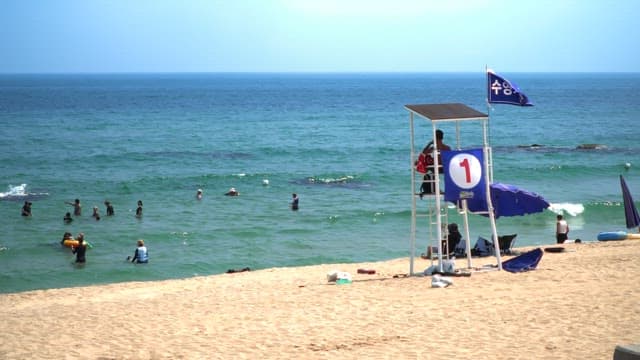 Lively beach with people swimming