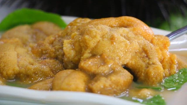 Sea urchin roe lifted with a spoon