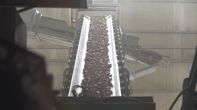 Conveyor belt transporting materials