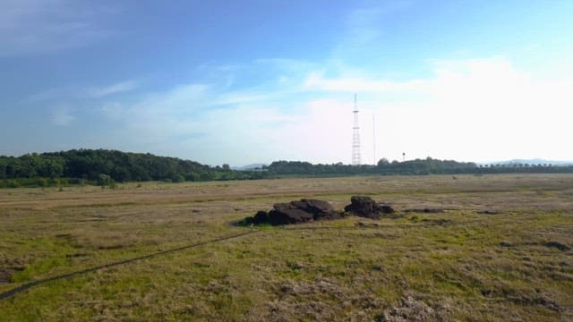 Wooden path through a vast field