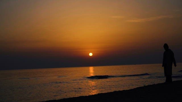 Walking on the Beach with Gentle Waves at the Dawn