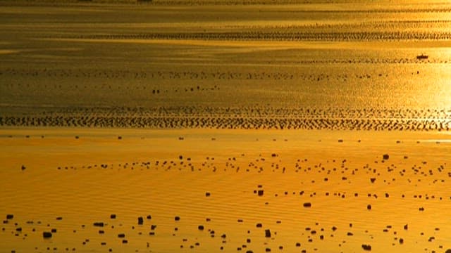 Sandy beach with a peaceful sunset