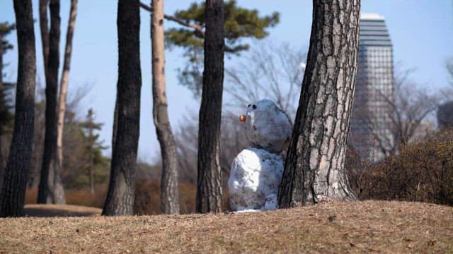 Snowman Leaning on a Tree in a City Park