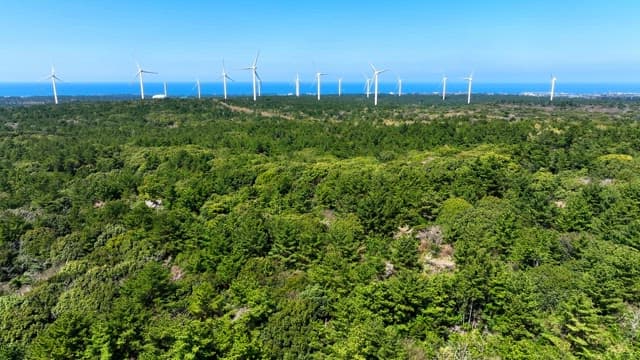 Wind turbines over a lush green forest