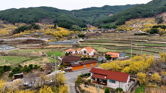 Rural village surrounded by terraced fields