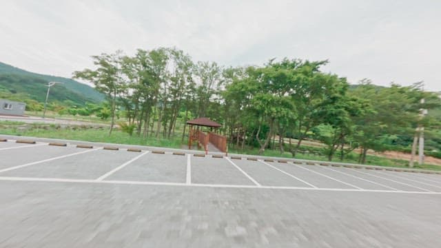 Scenic park with lush greenery