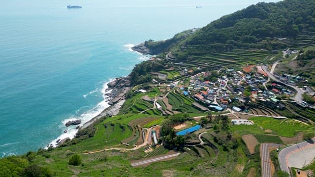 Coastal Village Amidst Terraced Fields Darangi Village