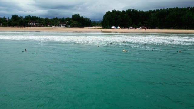 Surfers enjoying the waves at a beach