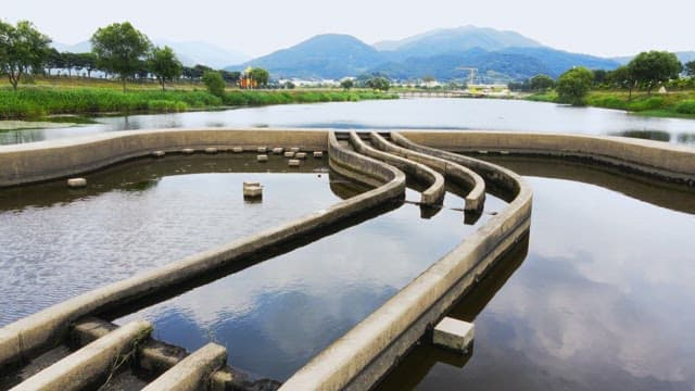 Scenic river with lush greenery