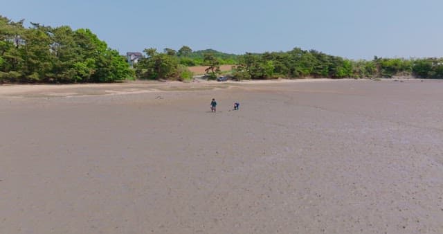 Vast tidal flat with distant mountains