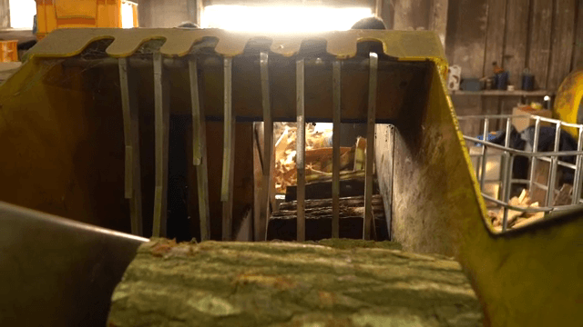 Logs being processed in a factory