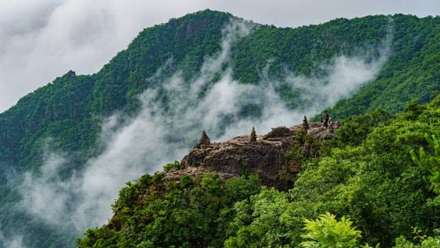 Top of a Green Mountain with Fog