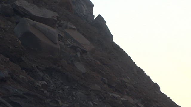 Animal Falling Off a Cliff