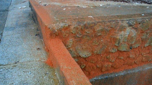 Red little crabs crawling on the stone wall