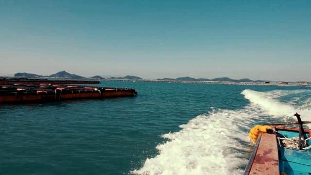 Boat Journey Across Aquaculture Farms