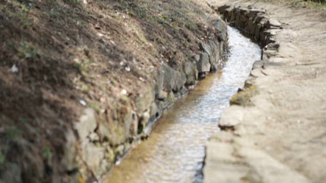 Serene Creek Flowing through a Natural Landscape