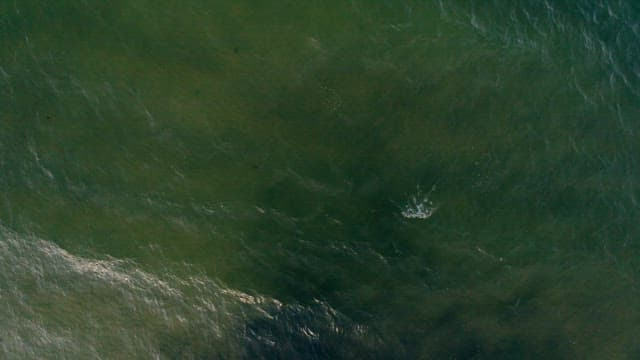 Ocean Waves from Above