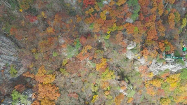 Colorful autumn forest and rocky mountains