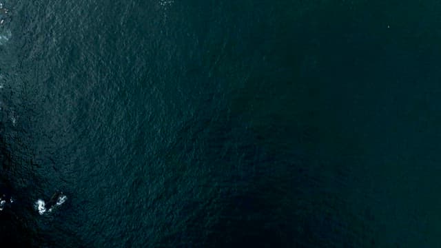 Rocky Coastline and Waves