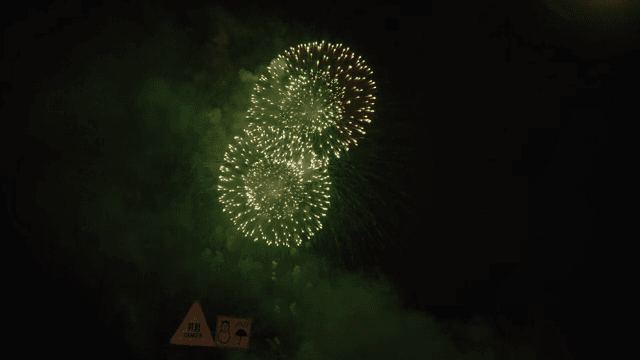 Fireworks lighting up the night sky