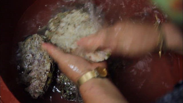 Cleaning oysters in a red basin