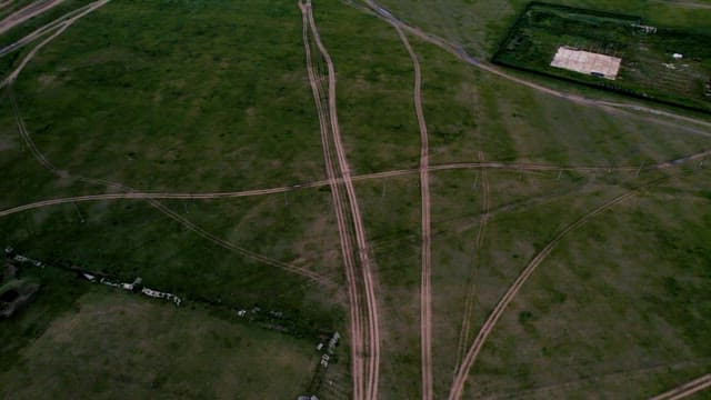 Wide Meadow with Dizzyingly Intersecting Paths