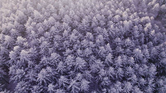 Mountains Covered White with Snow at Dawn