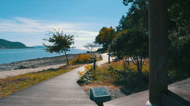 Peaceful Seaside Walkway on a Sunny Day