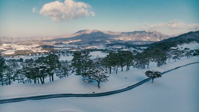 Snow-covered Landscape with Pine Trees and Mountains