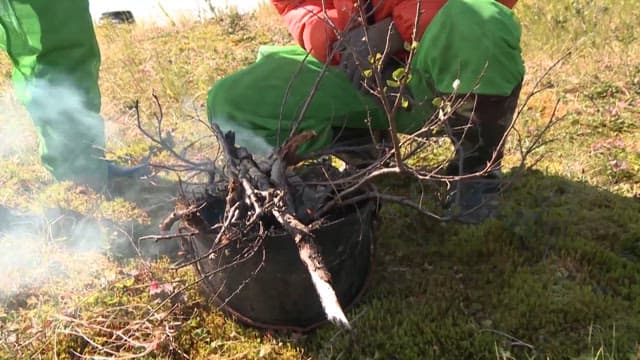 Preparing a Campfire in the Wild