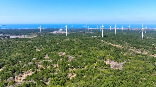 Wind turbines over a lush green forest