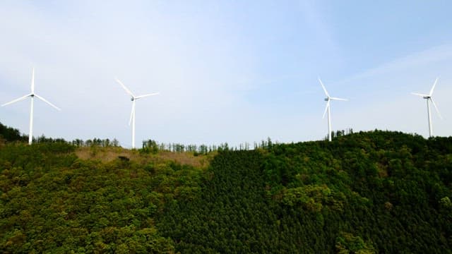 Wind turbines installed on a forested mountain under a blue sky