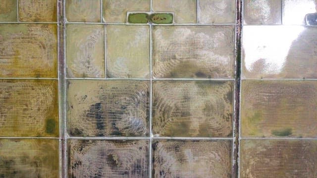 Salt farm divided into squares on a sunny day