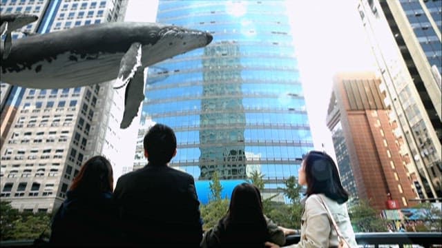 Urban Encounter with a Humpback Whale