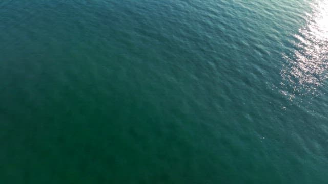 Blue sea and forest with the sun shining