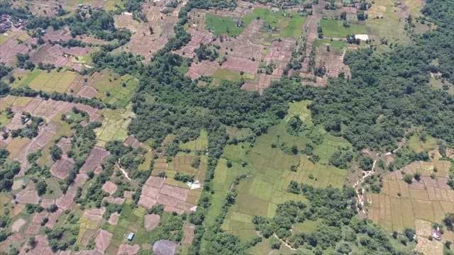 Expansive farmland with lush greenery