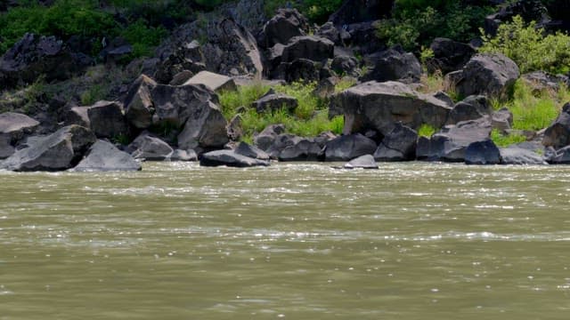 Rocky riverbank with flowing water