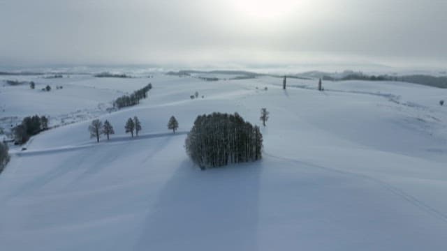 Serene Snow-covered Landscape with Trees