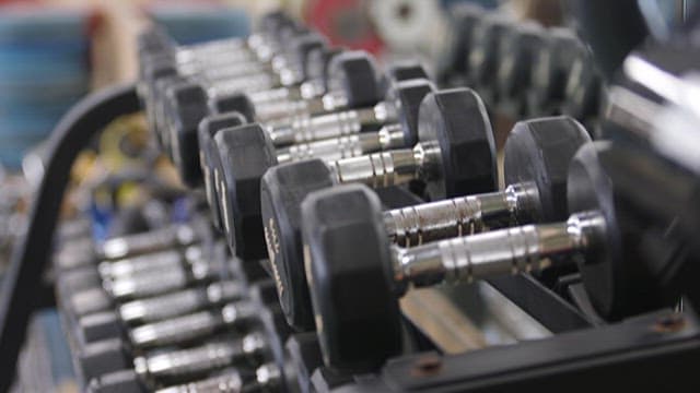 Rows of Dumbbells Lined Up in a Gym