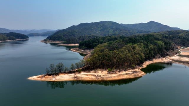 Tranquil lake surrounded by lush forests