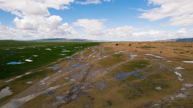 Vast Grassland with Water Puddles Everywhere