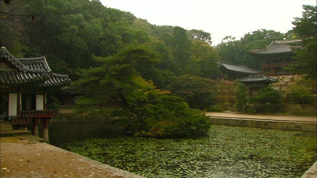 Changdeokgung Palace with a peaceful pond