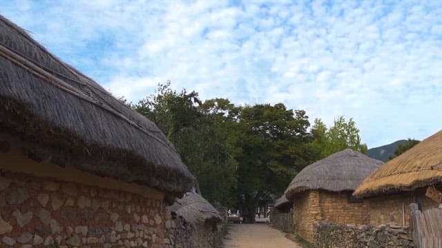 Thatched-roof cottages in a rural village