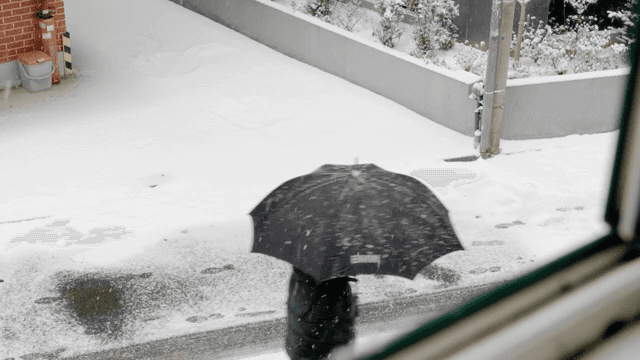 Person with umbrella walking on snow-covered street
