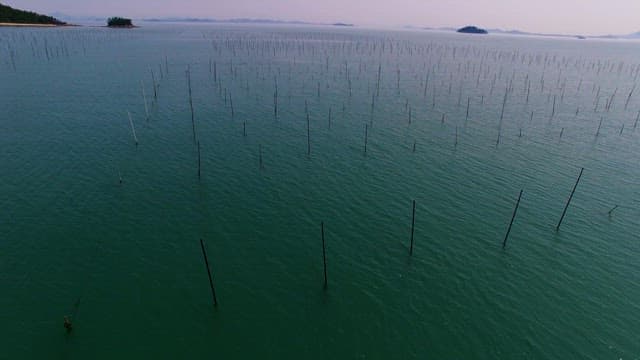 Scenery of Seaweed Farm