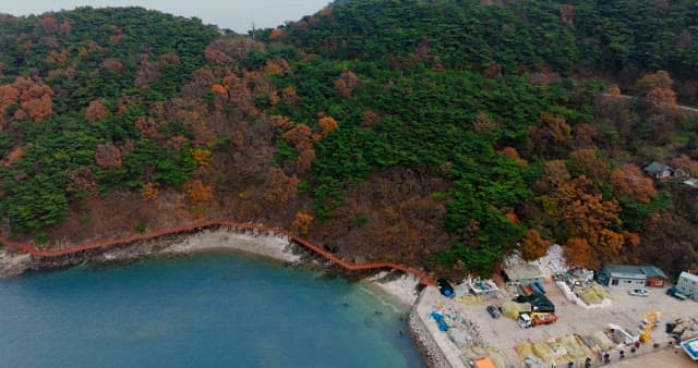 Walkway Between a Autumn Forest and a Blue Sea