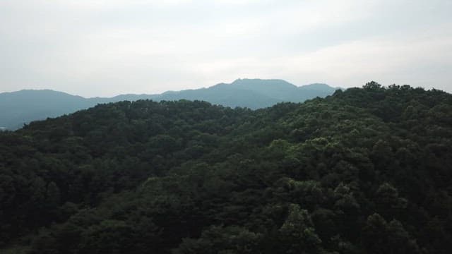 Mountain with lush green trees under a cloudy sky
