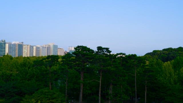 Urban park with skyscrapers and lush trees