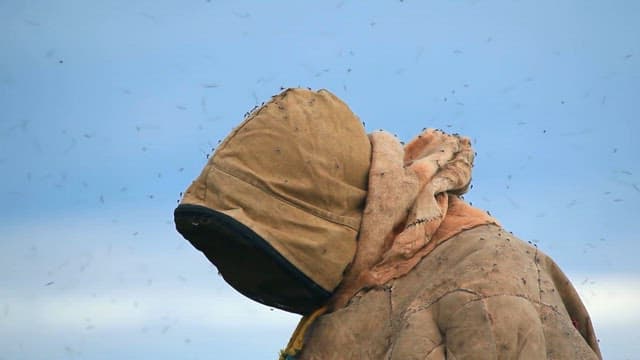 Insects Flying Around a Person Wearing Thick Clothes